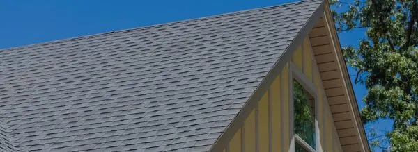 Bernal Roofing