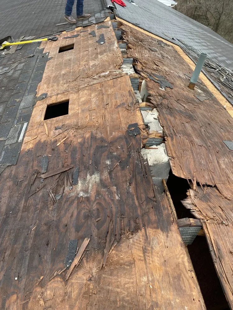 Slide of Bernardo’s Remodeling