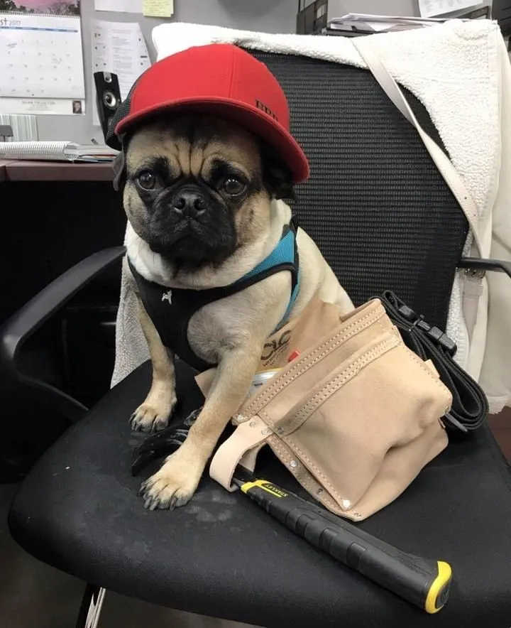 Slide of Bernecker Brothers Roofing