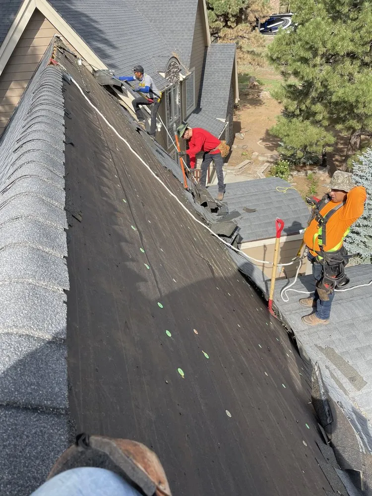 Slide of Berni & Sons