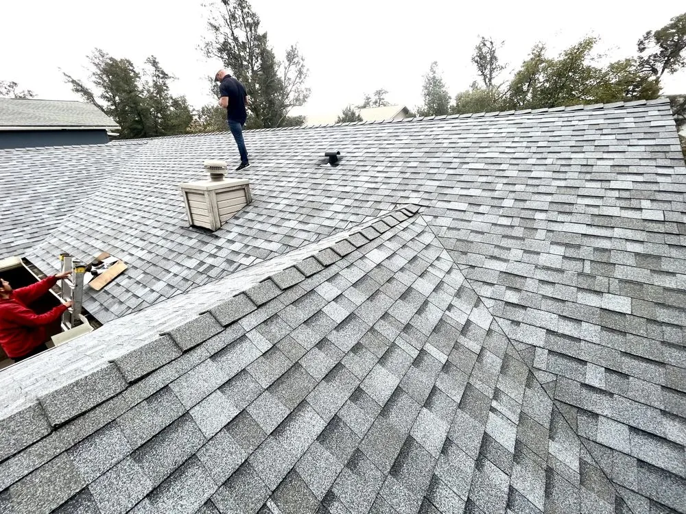 Slide of Berni & Sons