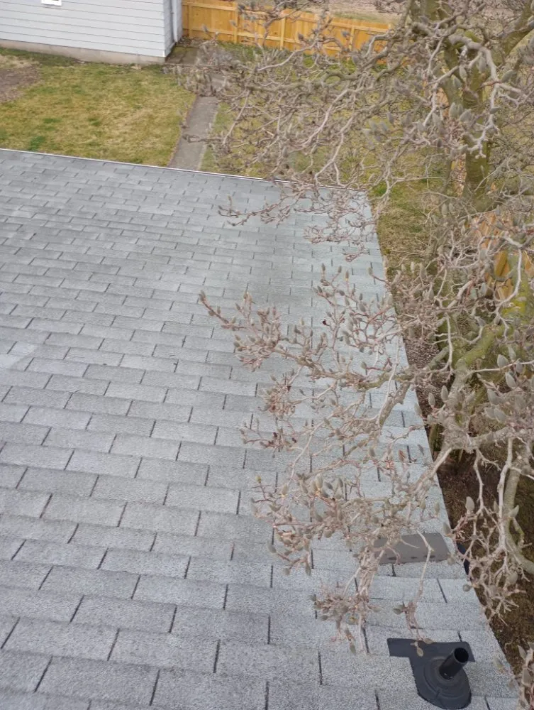 Slide of Bernie's Home Improvement