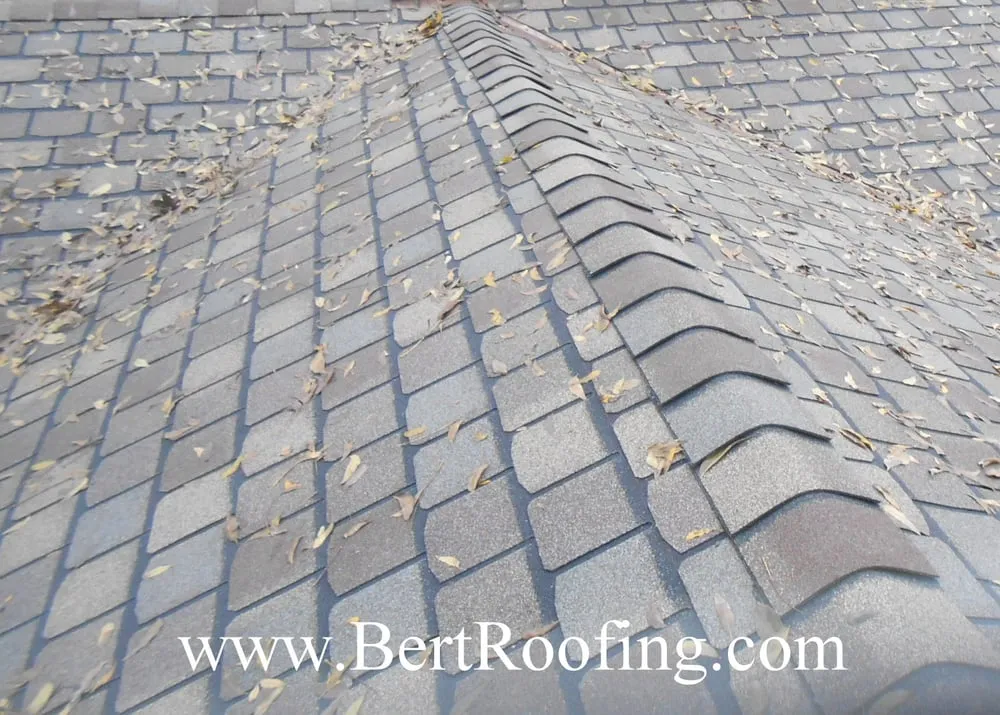 Slide of Bert Roofing