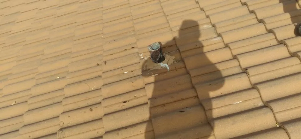 Slide of Bert the roofer