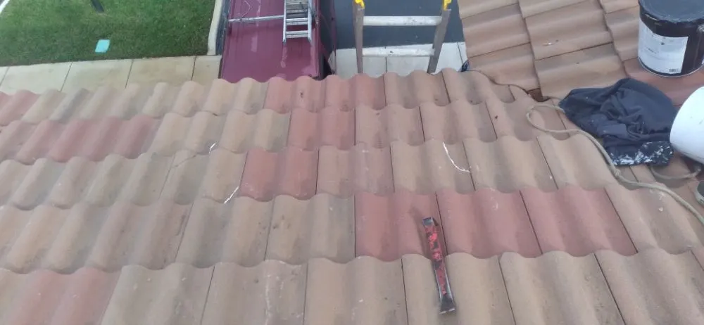 Slide of Bert the roofer