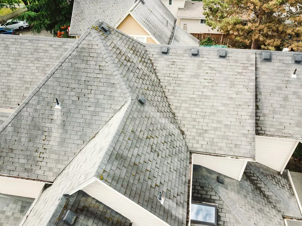 Slide of Best Coast Roofing
