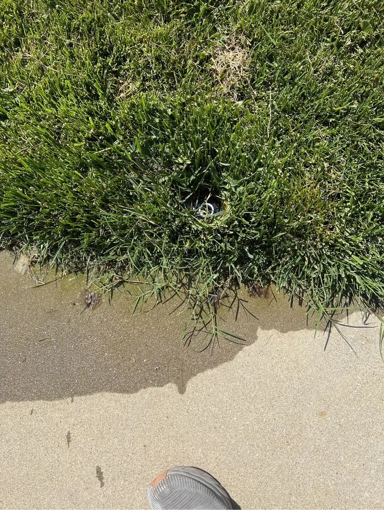 Slide of Best Local Remodeling