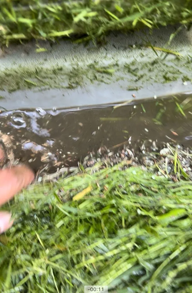 Slide of Best Local Remodeling