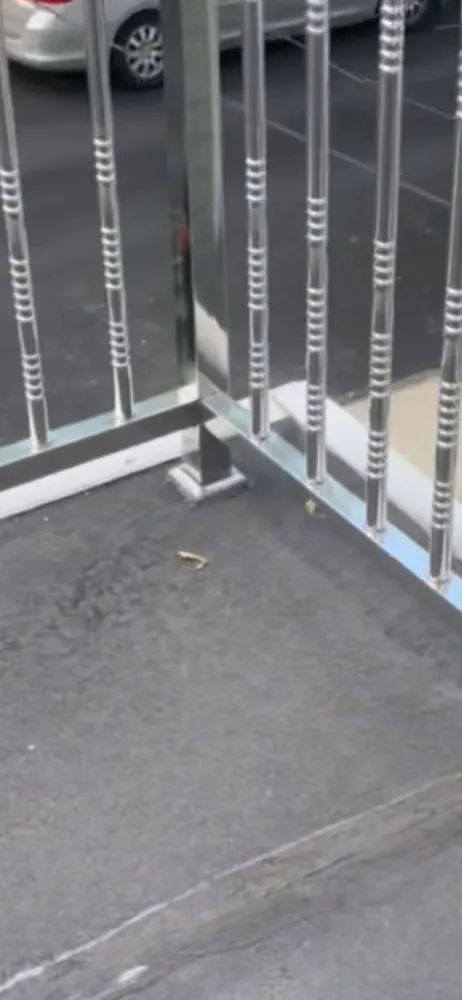 Slide of Best Price Roofing Company