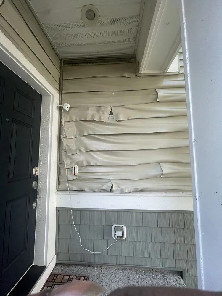 Slide of Best Quality