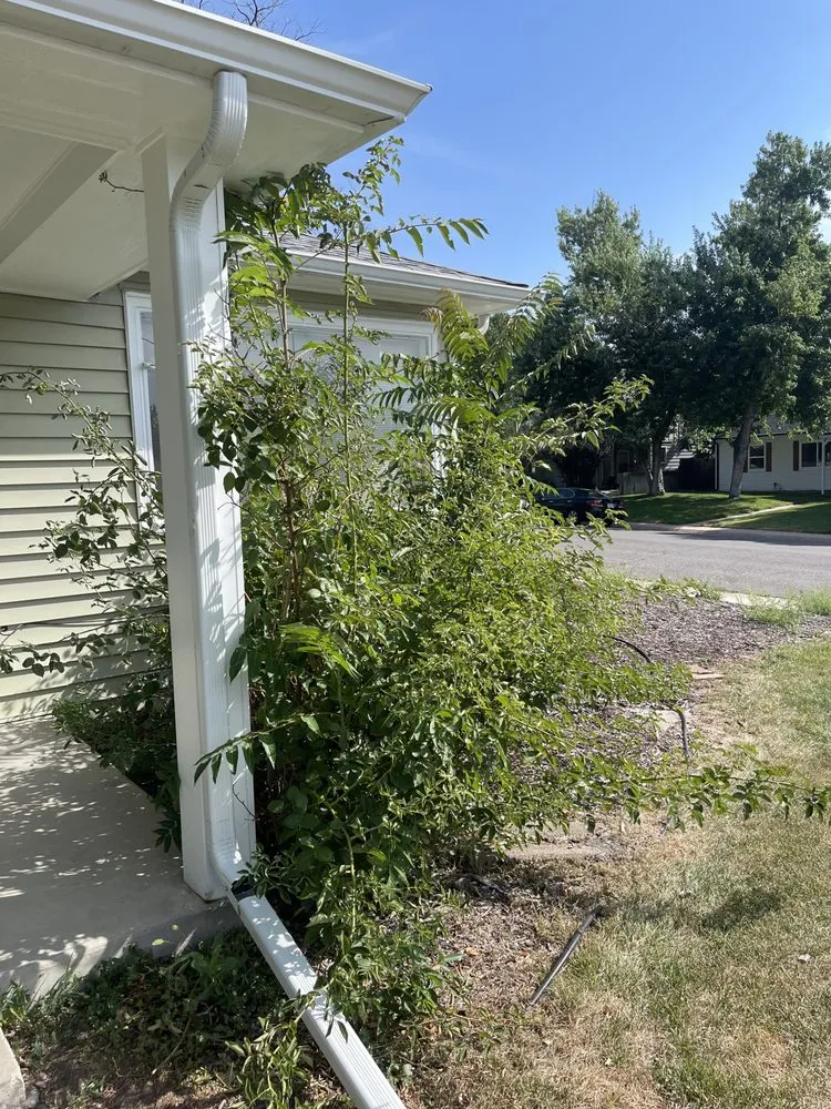 Slide of Best Roof & Gutter