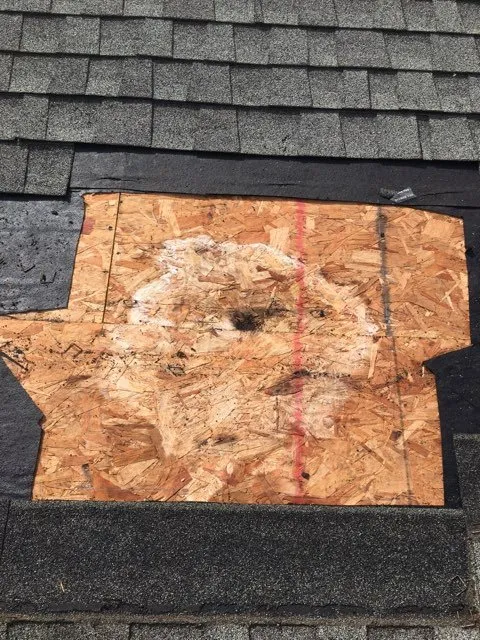 Slide of Best Roof Care