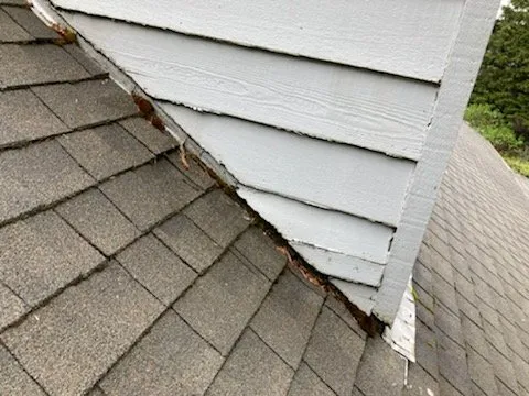 Slide of Best Roof Care