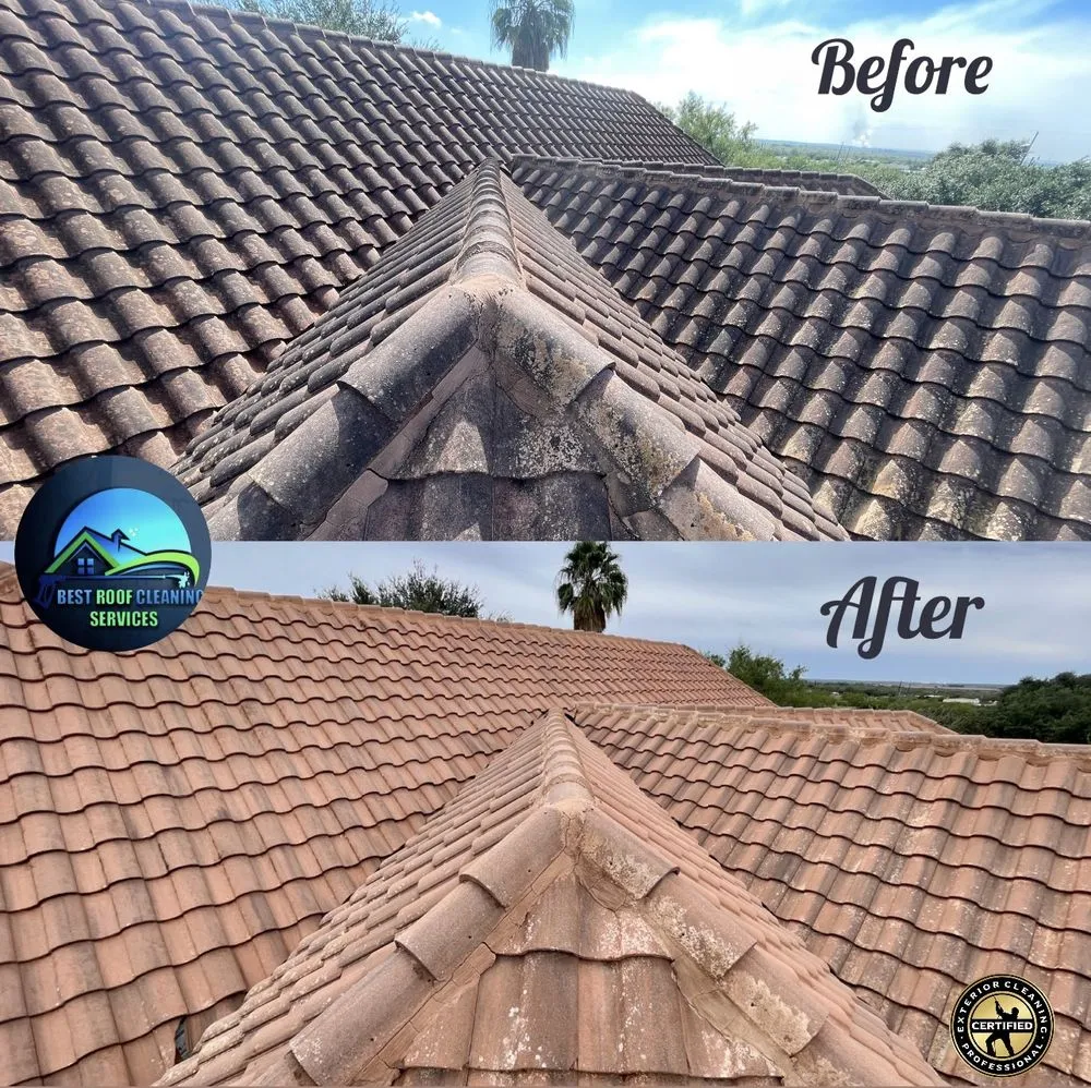 Slide of Best Roof Cleaning Services