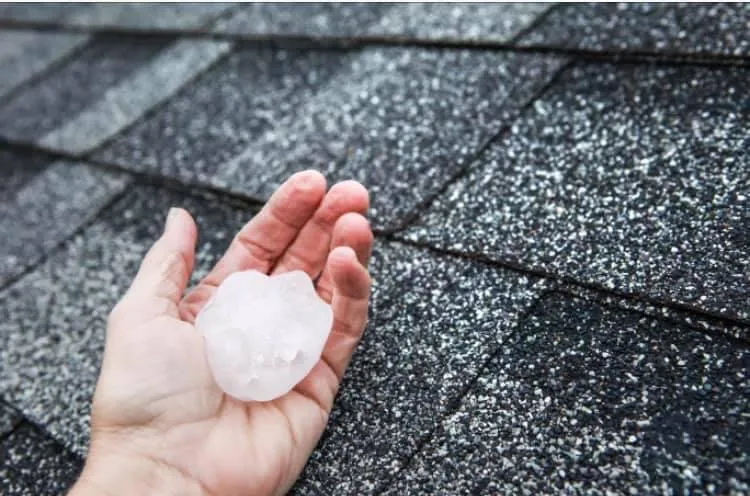 Slide of Best Roof In Town