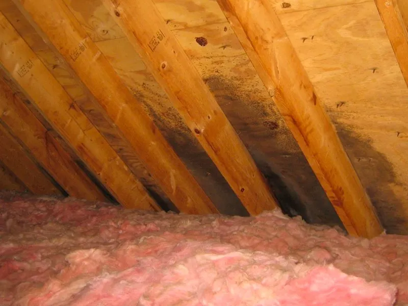 Slide of Best Roofing