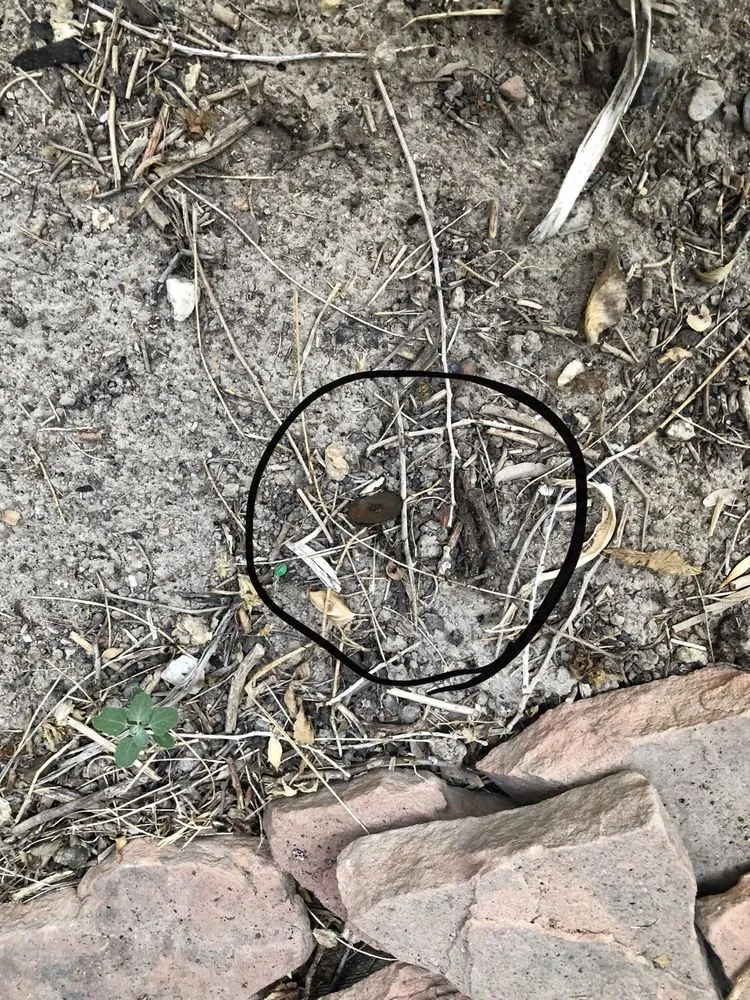 Slide of Best Roofing