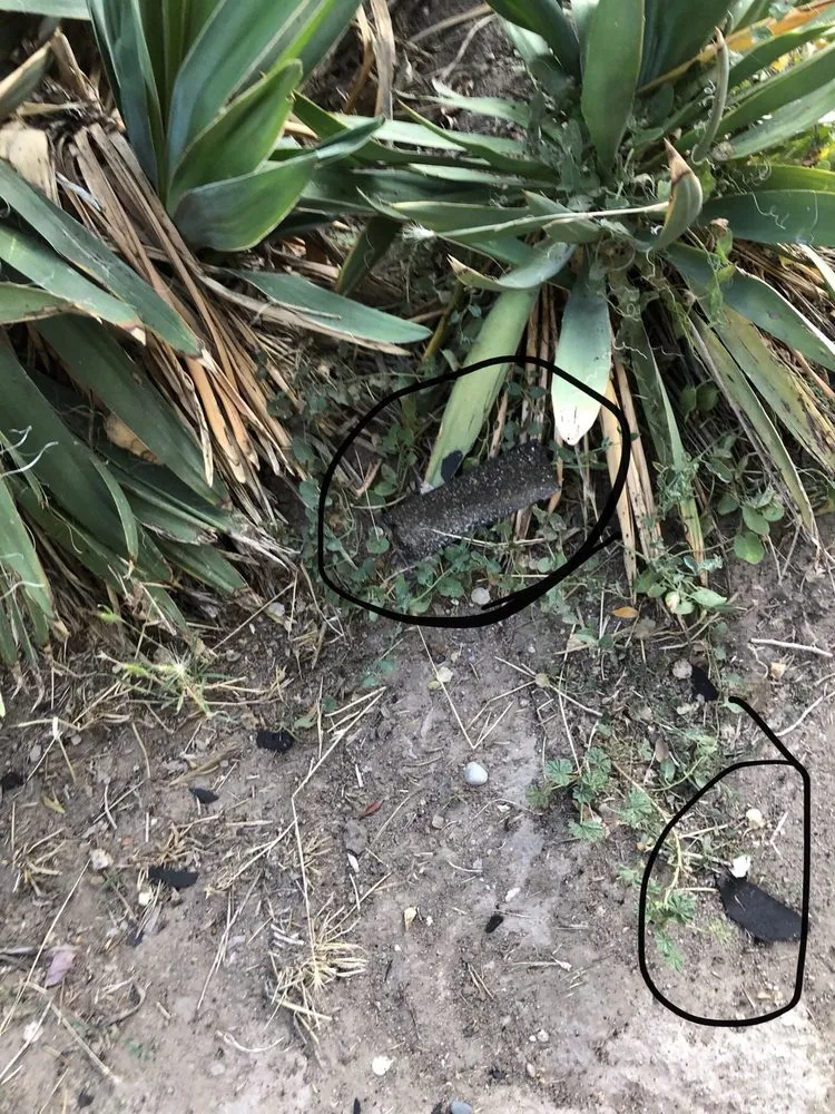 Slide of Best Roofing