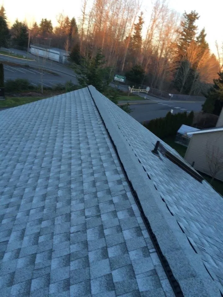 Slide of Best Roofing Services