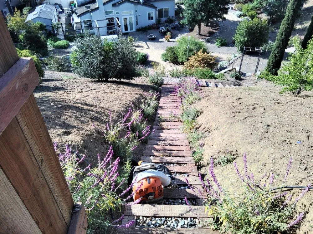 Slide of Betos Gardening and More