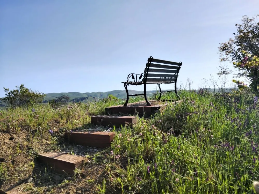 Slide of Betos Gardening and More