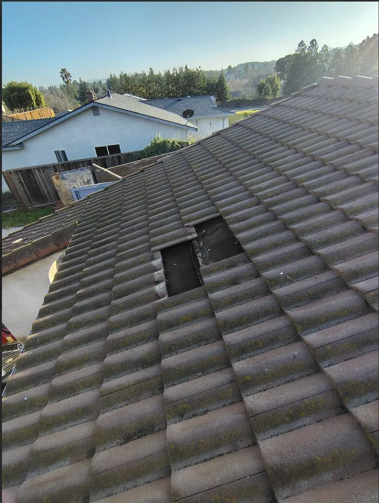 Slide of Betos Gardening and More