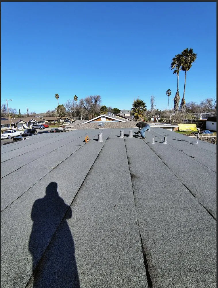 Slide of Betos Gardening and More