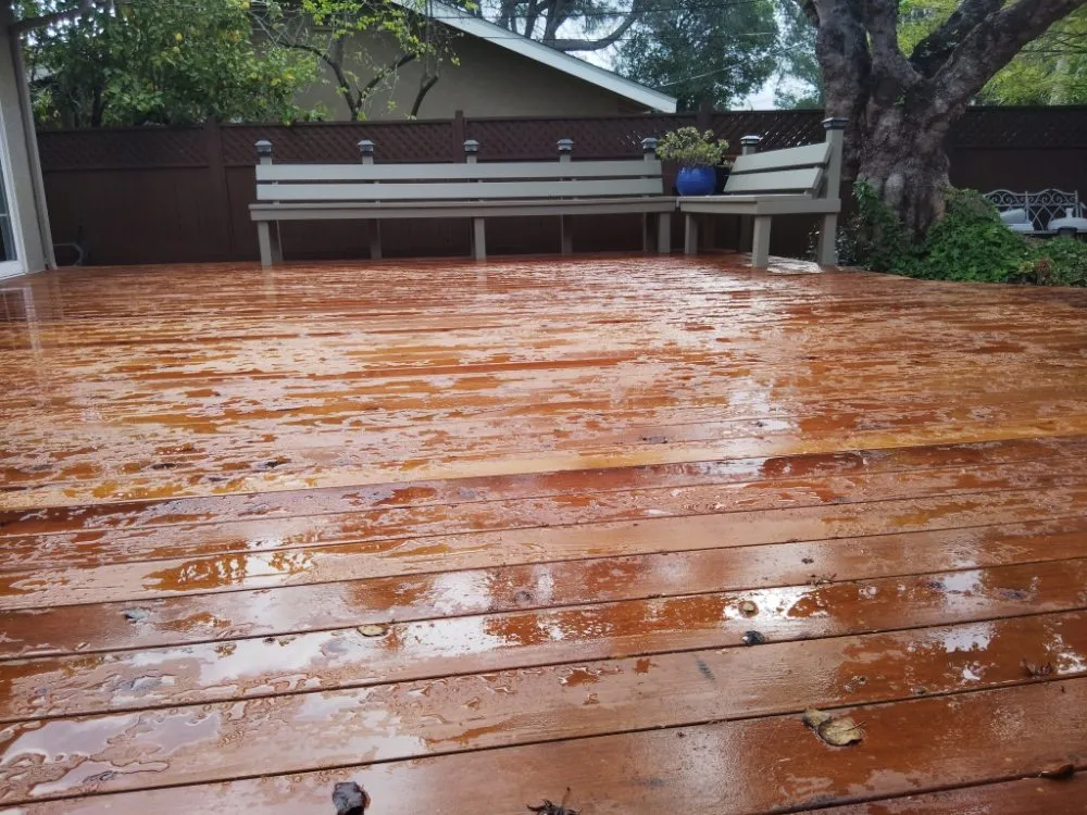 Slide of Betos Gardening and More