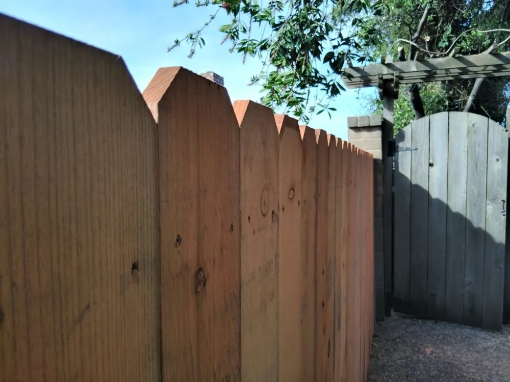 Slide of Betos Gardening and More