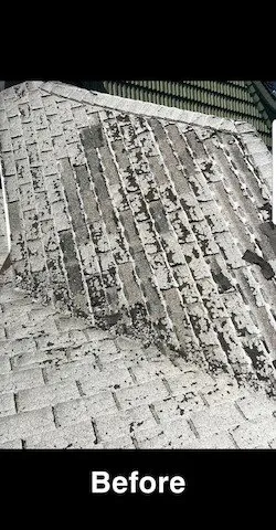 Slide of Beto's Roof Repair