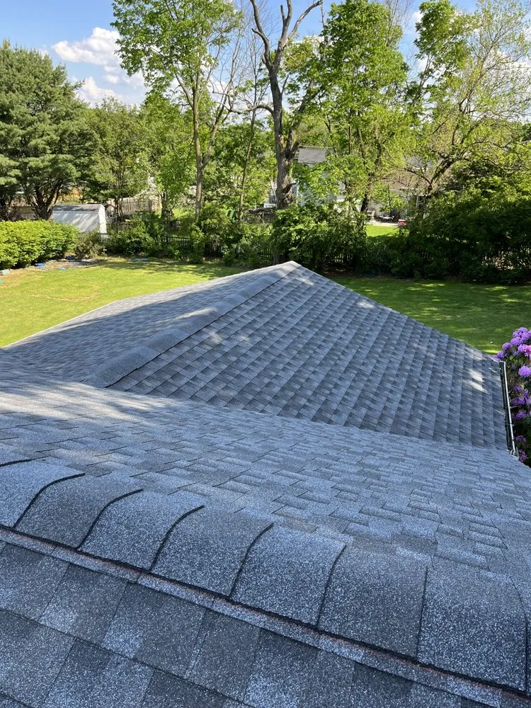 Slide of Better Choice Solutions