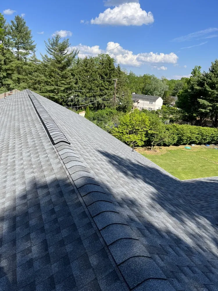 Slide of Better Choice Solutions