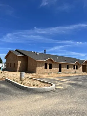 Better Choice Solutions Logo