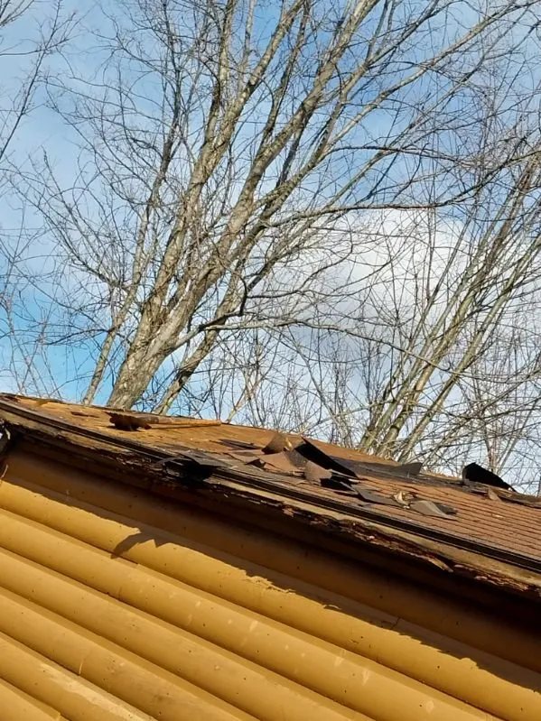 Slide of Better Homes Today