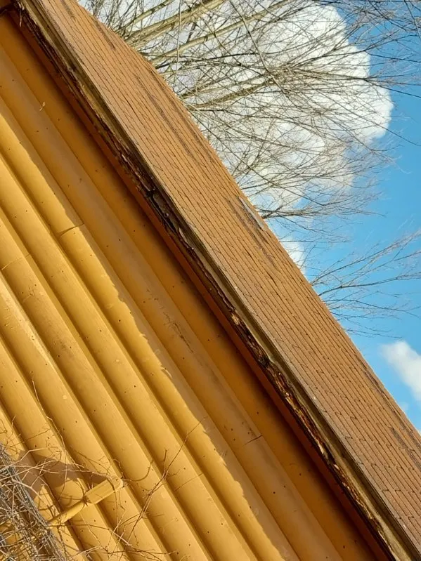 Slide of Better Homes Today