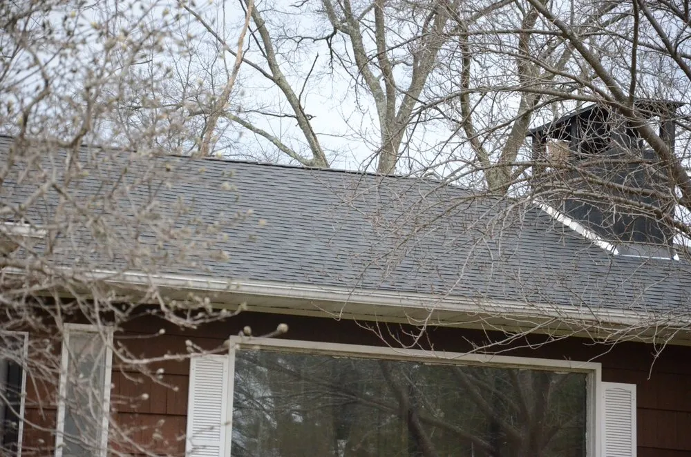 Slide of Better Roofers