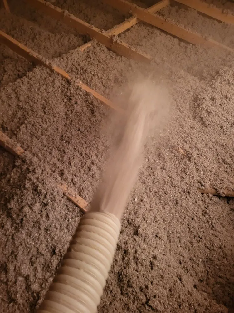 Slide of Better View Restoration