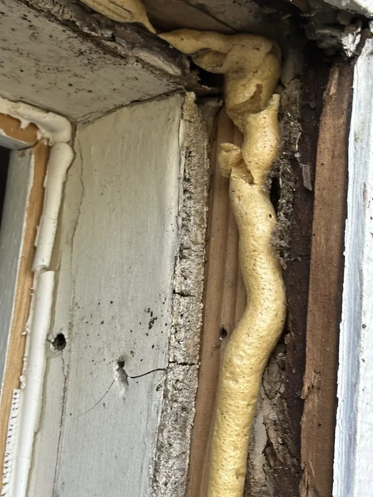 Slide of Better View Windows and More