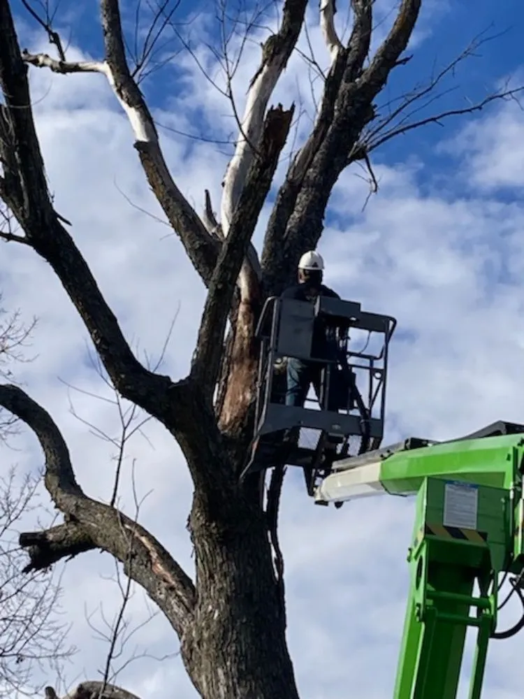 Slide of Between Hard Times