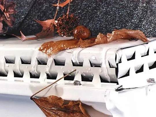 Slide of Beyond Gutters