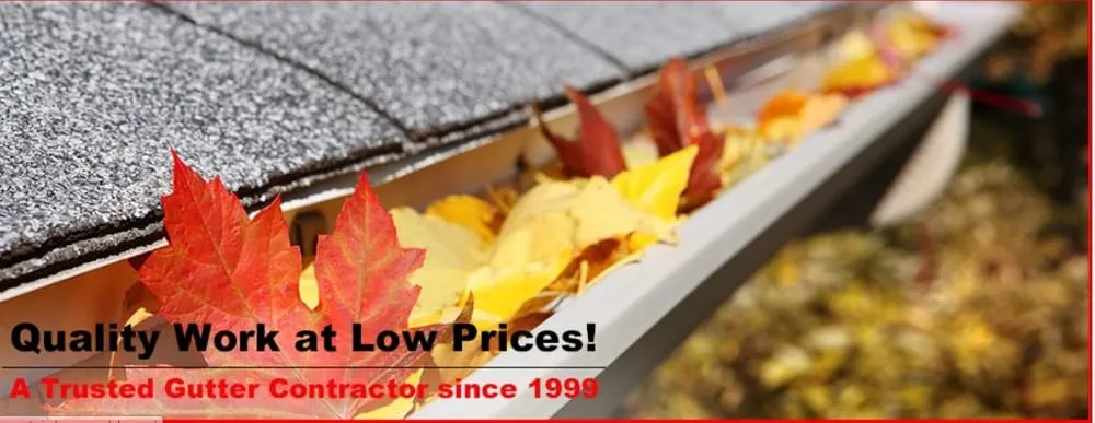 Slide of Beyond Gutters