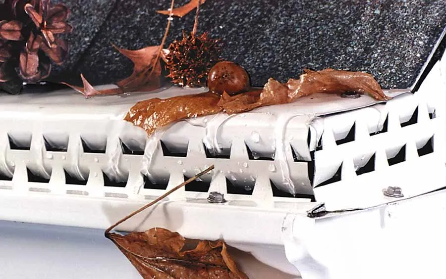 Slide of Beyond Gutters