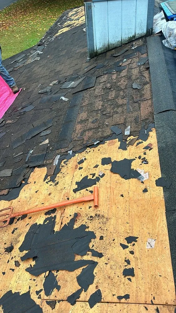 Slide of Beyond JB Construction