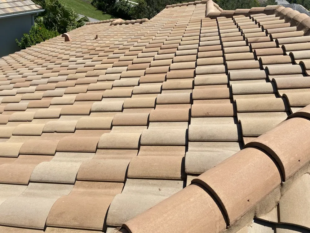 Slide of Beyond Pressure Washing & Roof Cleaning