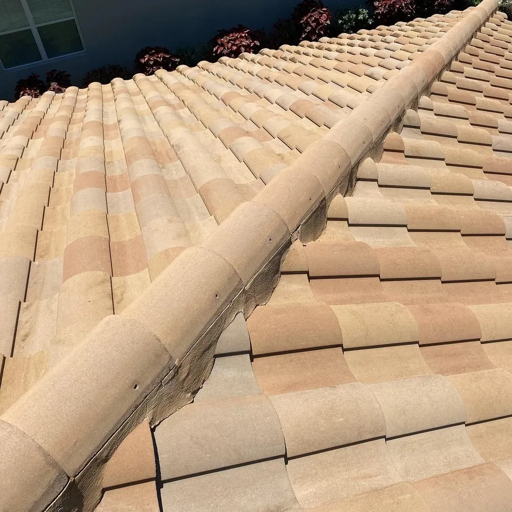 Slide of Beyond Pressure Washing & Roof Cleaning
