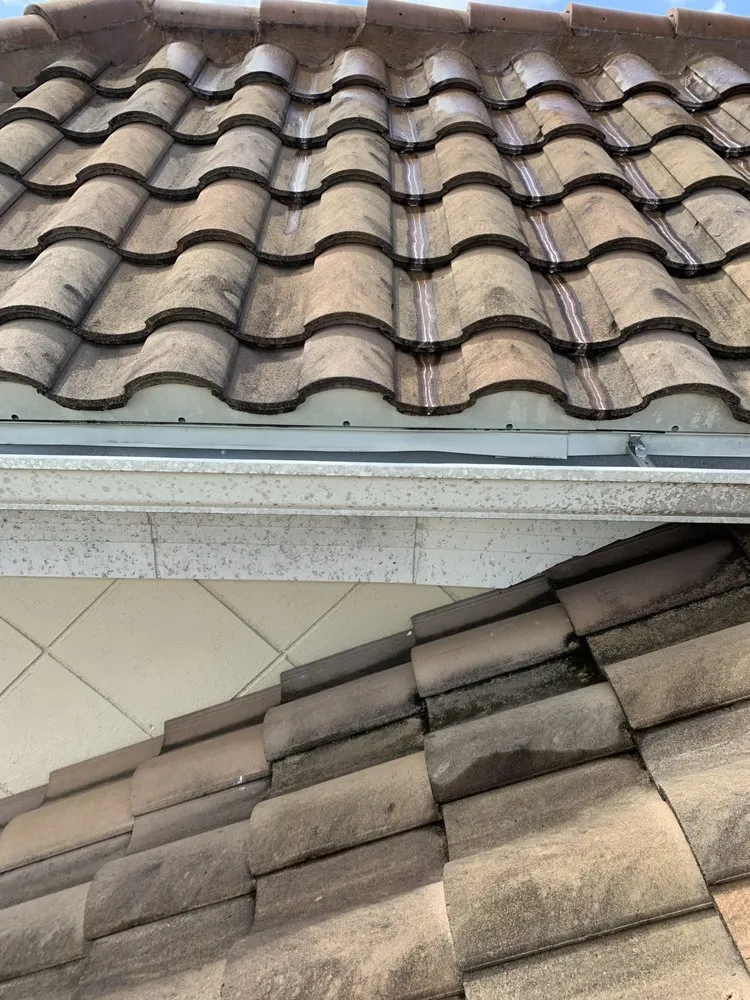 Slide of Beyond Pressure Washing & Roof Cleaning