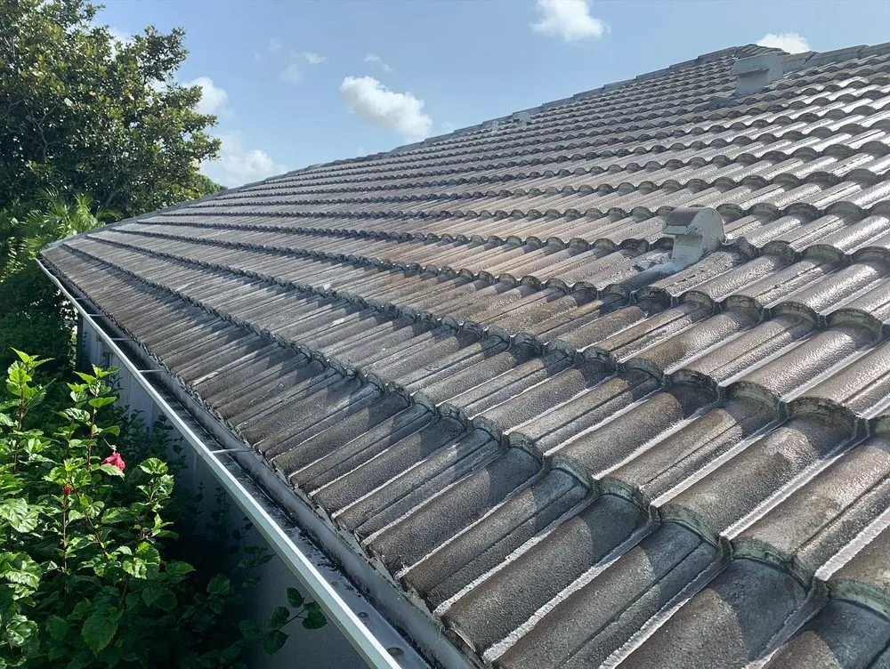 Slide of Beyond Pressure Washing & Roof Cleaning