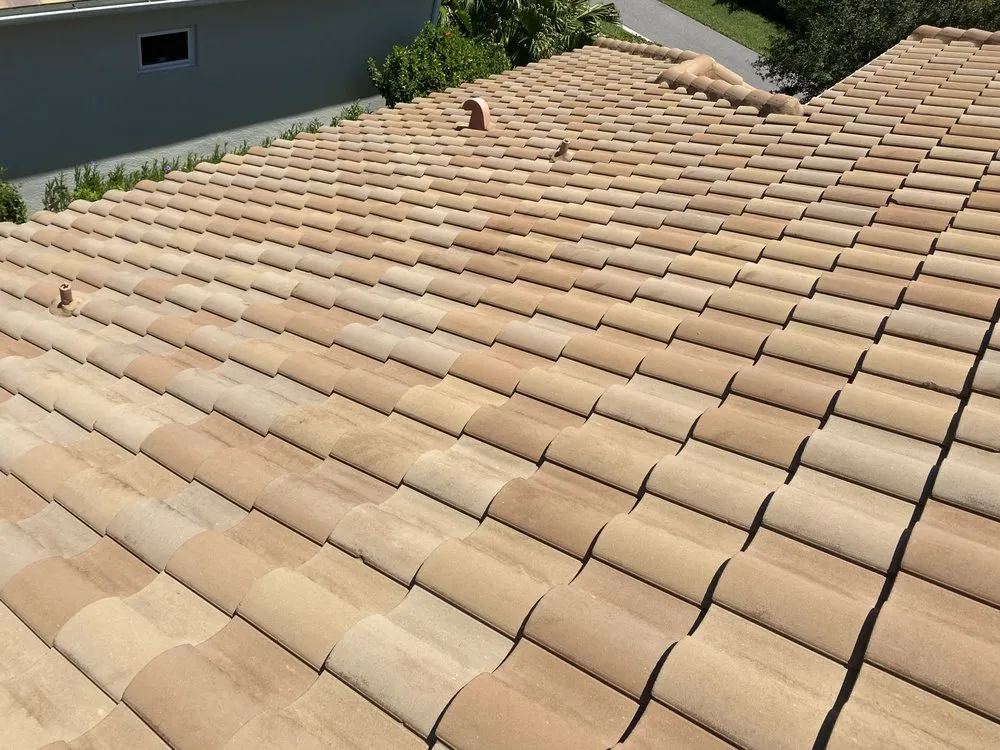 Slide of Beyond Pressure Washing & Roof Cleaning