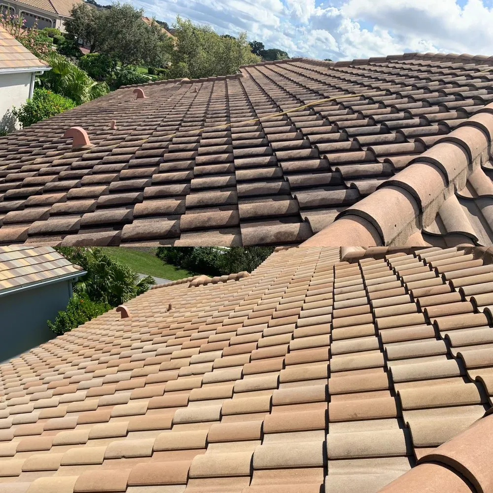 Slide of Beyond Pressure Washing & Roof Cleaning
