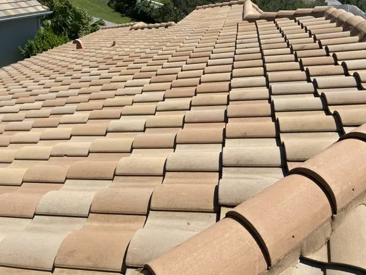 Beyond Pressure Washing & Roof Cleaning Logo